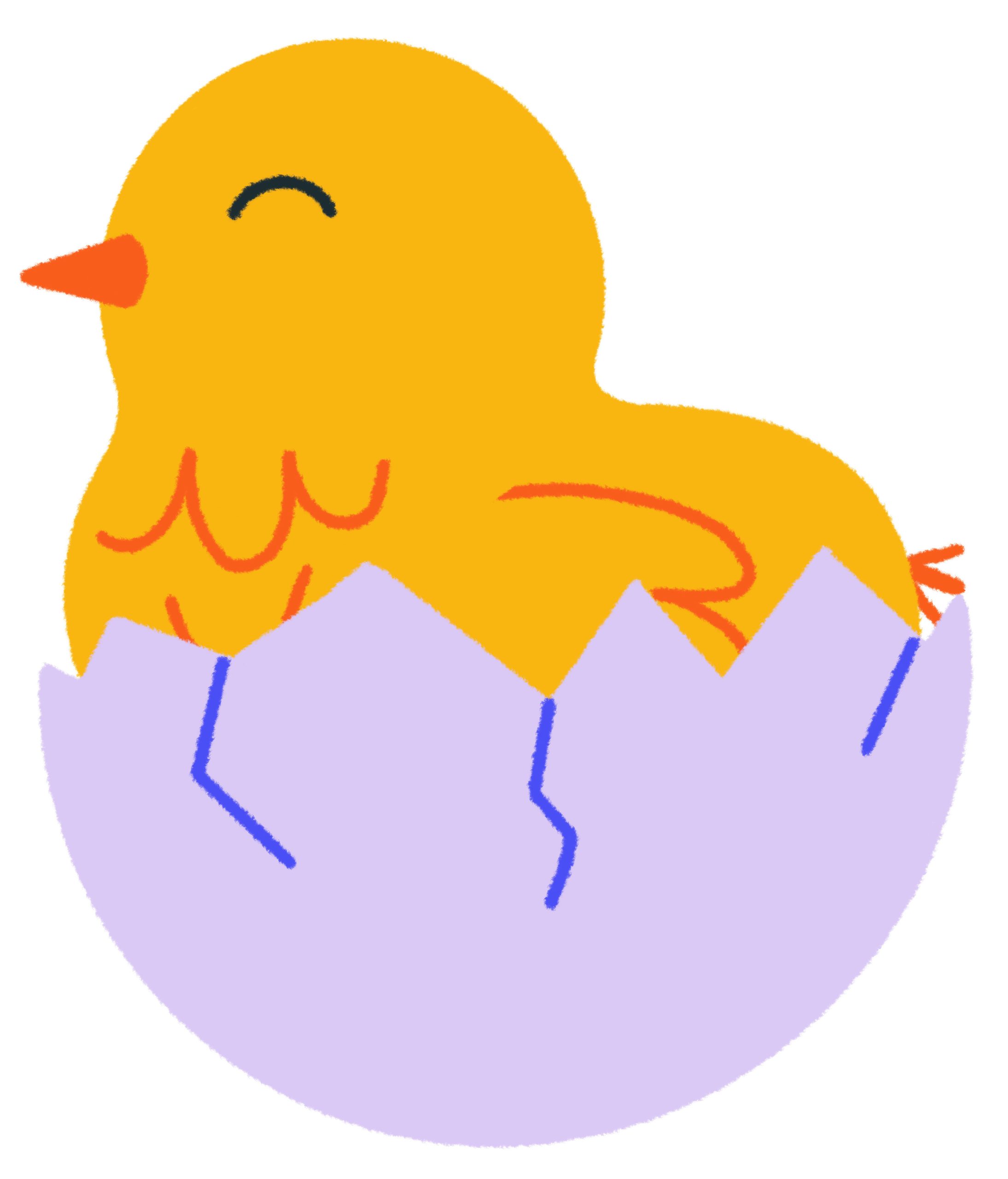 Hatching Chicks at Home