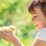 Children and chicks