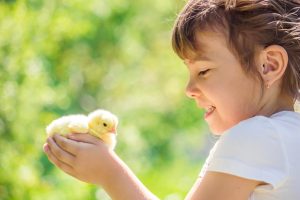 Children and chicks